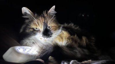 Графік відключення електроенергії в Одесі 20 серпня 