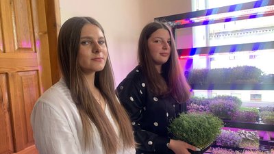 "Розумний город": тернопільські школярі вирощують мікрозелень "Розумний город": тернопільські школярі вирощують мікрозелень
