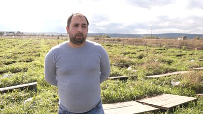 Живий делікатес. Ігор Данюк розводить равликів на Прикарпатті Живий делікатес. Ігор Данюк розводить равликів на Прикарпатті