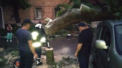 Повалені дерева та затоплені будинки: наслідки негоди у Херсоні