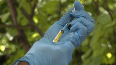 На Харківщині почали щепити від грипу