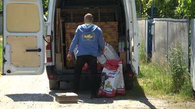 Фонд "Хатіко UA", допомога покинутим тваринам Фонд "Хатіко UA", допомога покинутим тваринам