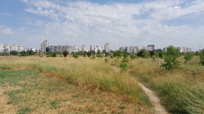 сюжет спека сюжет спека