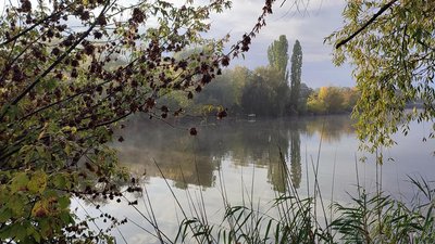 Невеликі дощі та туман. Погода на Кіровоградщині на вихідні
