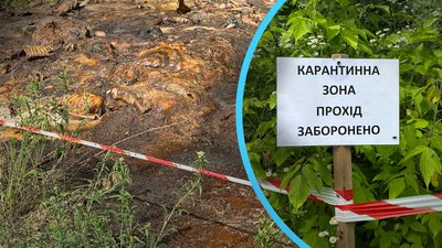 У Зіньківській ТГ знайшли купу мертвих тварин