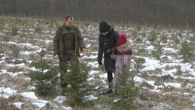 Аліна Рудик разом із донькою Маргаритою обирає новорічну ялинку на плантації. 14 грудня 2022 рік Аліна Рудик разом із донькою Маргаритою обирає новорічну ялинку на плантації. 14 грудня 2022 рік