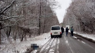 На Житомирщині 18-річний водій мікроавтобуса на смерть збив пішохода На Житомирщині 18-річний водій мікроавтобуса на смерть збив пішохода