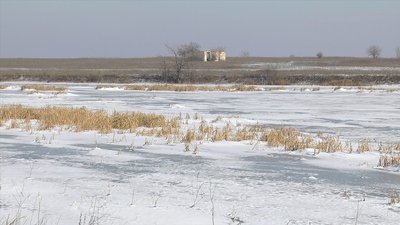 На Миколаївщині невідомий розстріляв лебедів На Миколаївщині невідомий розстріляв лебедів