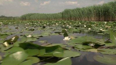 Львівські скелі та Аджигольські маяки - на Херсонщині з'явився новий туристичний маршрут Львівські скелі та Аджигольські маяки - на Херсонщині з'явився новий туристичний маршрут
