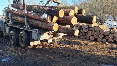 На Тернопільщині, судитимуть, вирубка дерев у заповіднику, прокуратура, 1 жовтня 2026 року