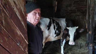 "Не знаю де пасти корову". На Львівщині будуть створювати громадські пасовища