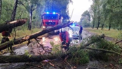 Два десятки населених пунктів без світла через негоду на Рівненщині