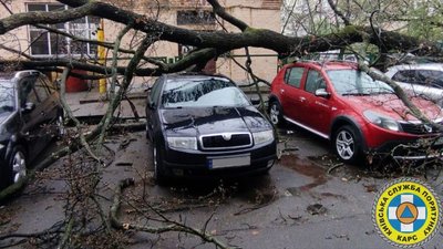 Постраждалих немає: у Києві рятувальники прибирають дерева, які впали через негоду Постраждалих немає: у Києві рятувальники прибирають дерева, які впали через негоду