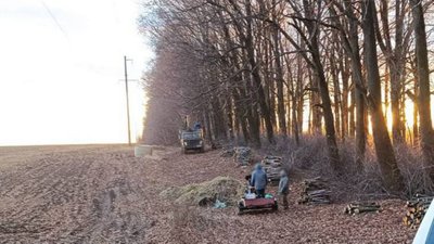ліс дрова поліція черкаси