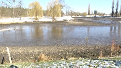 Прорив дамби у Романові: підтопило городи та хвилею зносило вулики Прорив дамби у Романові: підтопило городи та хвилею зносило вулики