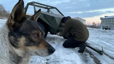 Фотоісторії Миколаївщини: як минув тиждень у регіоні Фотоісторії Миколаївщини: як минув тиждень у регіоні