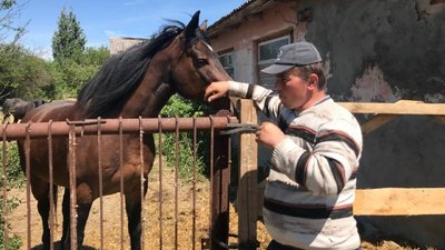 Про коней дбають організатори школи і благодійники Про коней дбають організатори школи і благодійники