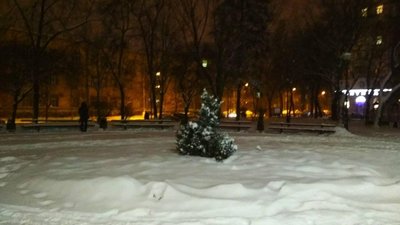 Метеорологічна зима в Києві так і не настала, вперше за 140 років — обсерваторія