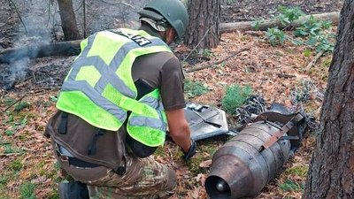 Уламки російського безпілотника у лісопарковій зоні у Києві