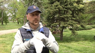 У Запоріжжі влаштували генеральне прибирання у "Дубовому гаю" У Запоріжжі влаштували генеральне прибирання у "Дубовому гаю"