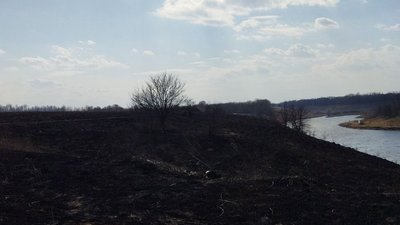 За добу на Сумщині сталося 9 пожеж в екосистемах За добу на Сумщині сталося 9 пожеж в екосистемах