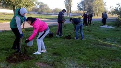 Горіхи, берези, черешні. У громаді на Дніпропетровщині висадили більш ніж 800 молодих дерев