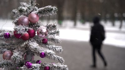 ялинка у харкові ялинка у харкові