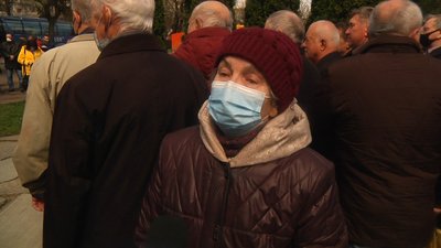 У Житомирі ліквідатори аварії на Чорнобильській АЕС висадили 35 кущів троянд