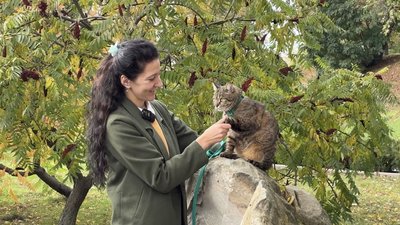 Тетяна Блонова з котом Морганом