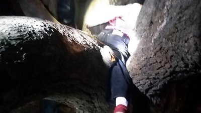 Аби розтиснути стовбури дерева довелось застосовувати бензопили та домкрат.