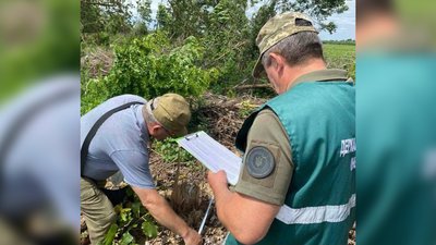 Незаконна порубка дерев на Чернігівщині: екологи оцінили шкоду довкіллю у понад 16 млн грн