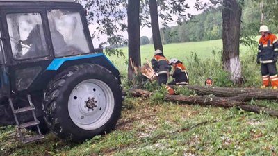 Повалені дерева, відключення світла та пошкоджена городина через град: які наслідки негоди на Житомирщині Повалені дерева, відключення світла та пошкоджена городина через град: які наслідки негоди на Житомирщині