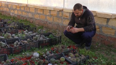 Ветеран АТО з Миколаєва розпочав власну справу – вирощує кактуси