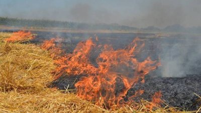 На Тернопільщині 79-річна жінка спалювала сміття і загинула у пожежі