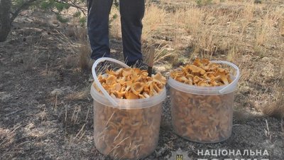 Зі зони ЧАЕС намагались вивезти понад 300 кілограмів радіоактивних ягід і грибів - поліція
