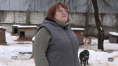 Морози та відключення світла: як переживають зиму тварини у луцькому КП "Ласка" Морози та відключення світла: як переживають зиму тварини у луцькому КП "Ласка"