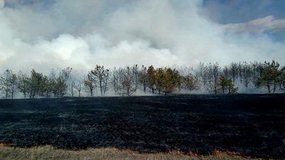 За добу на Миколаївщині сталися сім пожеж, одна з них — внаслідок обстрілів