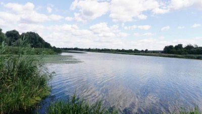 Загибель риби в річці Південний Буг. Екологи провели обстеження