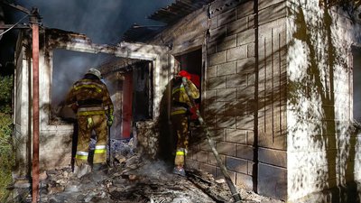 Пожежі на Миколаївщині: горів ліс, будинки, суха трава та сміття