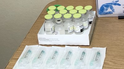 84 людей щепили вакциною Pfizer у Мукачеві 84 людей щепили вакциною Pfizer у Мукачеві