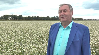 Через холоди на Полтавщині пізні зернові можуть довше дозрівати, – керівник дослідної станції Через холоди на Полтавщині пізні зернові можуть довше дозрівати, – керівник дослідної станції