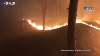 Відсьогодні палити сухе листя й траву стало дорожче Відсьогодні палити сухе листя й траву стало дорожче