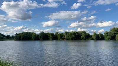 Ставок на Хмельниччині, серпень 2026 року