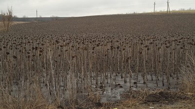 Пошашляховик, теплі речі та домашні смаколики. Ярунська громада із Житомирщини передала військовим допомогу на фронт Пошашляховик, теплі речі та домашні смаколики. Ярунська громада із Житомирщини передала військовим допомогу на фронт