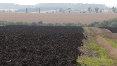 Без обговорень і голосувань: голова села на Черкащині роздав своїм родичам 30 гектарів землі Без обговорень і голосувань: голова села на Черкащині роздав своїм родичам 30 гектарів землі