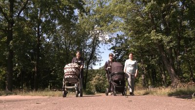 Виплати дітям ВПО Виплати дітям ВПО