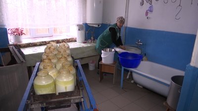 Не продавати, а переробляти молоко вирішили мешканці громади на Вінниччині Не продавати, а переробляти молоко вирішили мешканці громади на Вінниччині