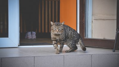 Як живе Одеса під час війни. Фоторепортаж Як живе Одеса під час війни. Фоторепортаж