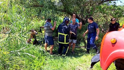 На Одещині врятували коня, який впав у водойму
