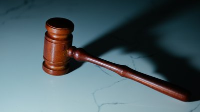 Організація незаконного референдуму